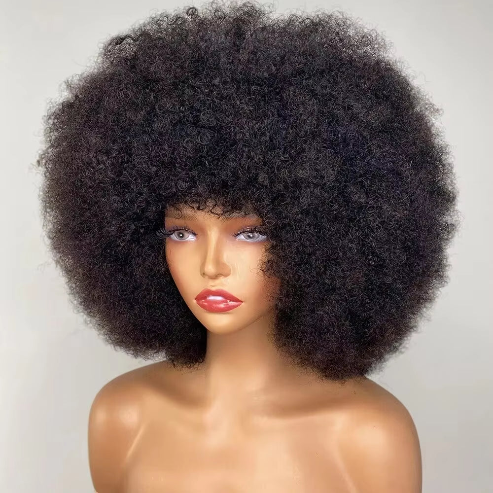 Natural Black Fluffy Afro Kinky Curly Short European Human Hair Remy Hair Wig for Black Women with Light Brown Lace