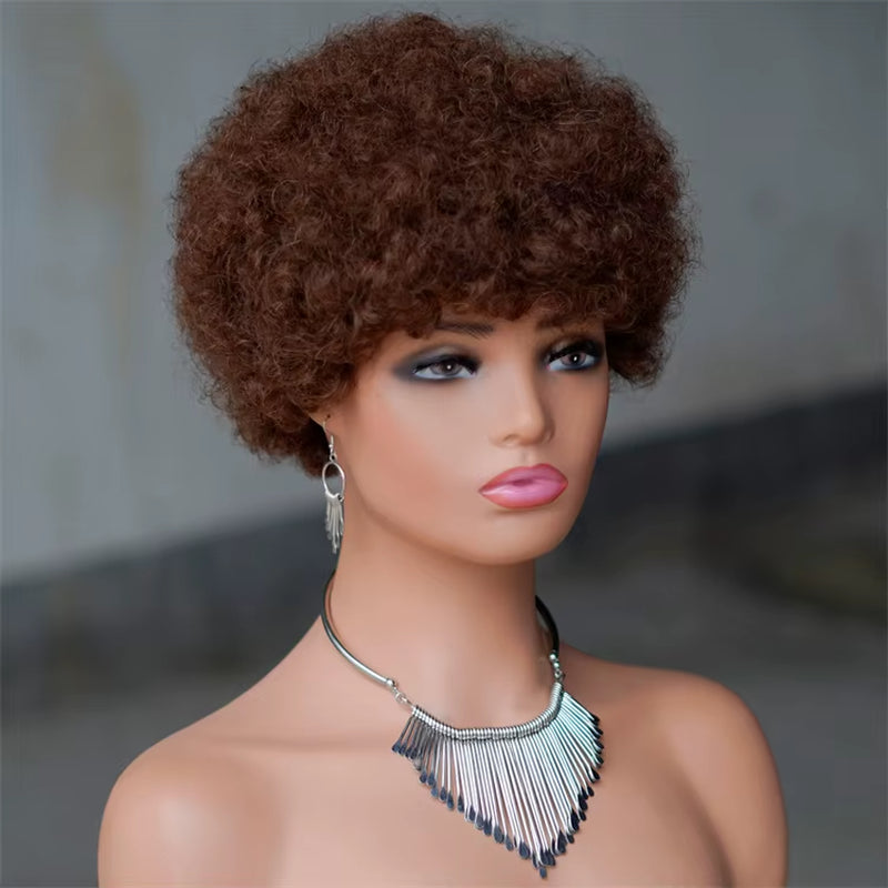 Natural Black Fluffy Afro Kinky Curly Short European Human Hair Remy Hair Wig for Black Women with Light Brown Lace