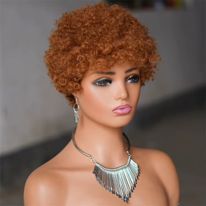 Natural Black Fluffy Afro Kinky Curly Short European Human Hair Remy Hair Wig for Black Women with Light Brown Lace
